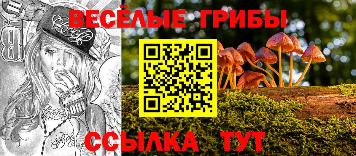 Галлюциногенные грибы Psilocybe  Галлюциногенные грибы прущие грибы  Вход с VPN  Белово 